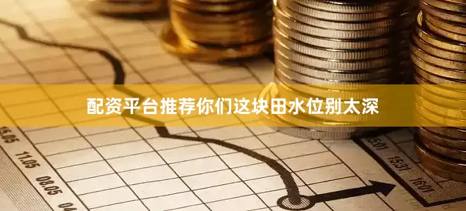 配资平台推荐你们这块田水位别太深