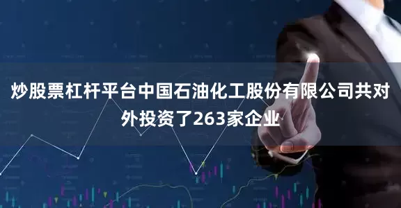 炒股票杠杆平台中国石油化工股份有限公司共对外投资了263家企业