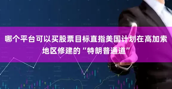 哪个平台可以买股票目标直指美国计划在高加索地区修建的“特朗普通道”